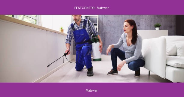 PEST CONTROL Matawan